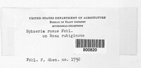 Image Associated With the Occurence